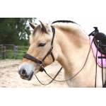 Edix ED2 Rose Sidepull Bridle